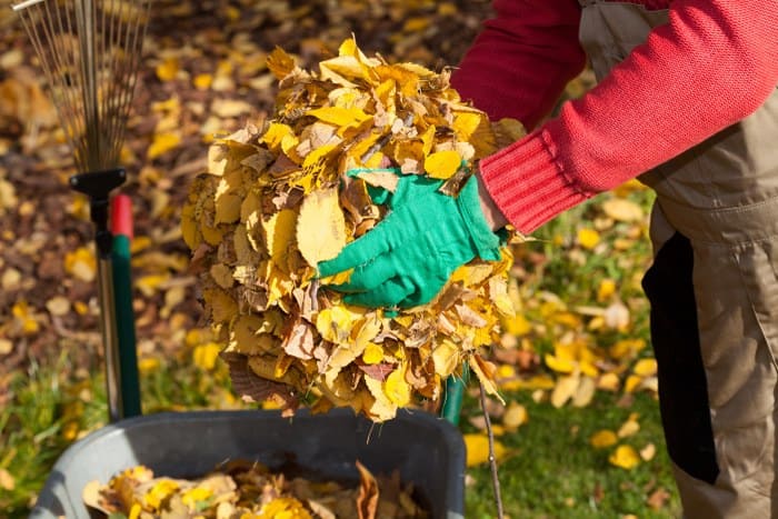 A Guide to Autumn Garden Clearance