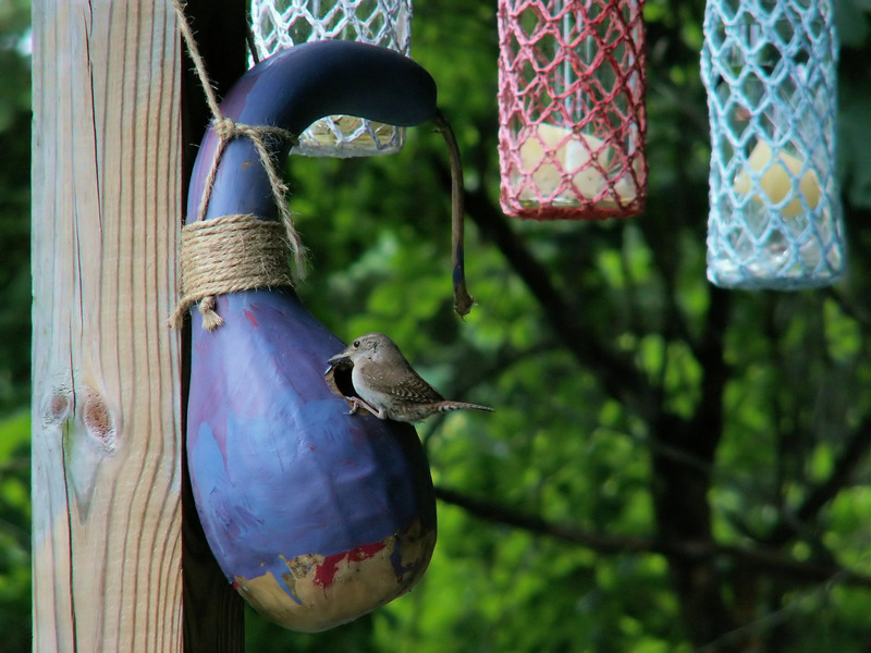 garden waste Appliances